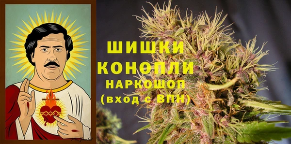 тгк Краснослободск