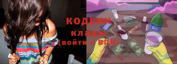 спиды Лагань