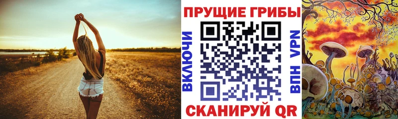 Псилоцибиновые грибы GOLDEN TEACHER  где можно купить   Кизляр 