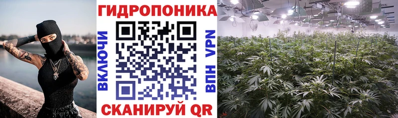 Бошки марихуана THC 21%  Кизляр 